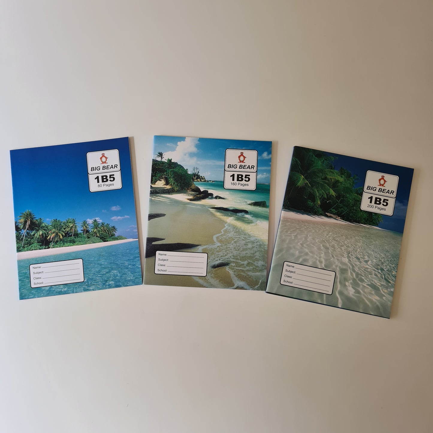 BIG BEAR 1B5 Note books